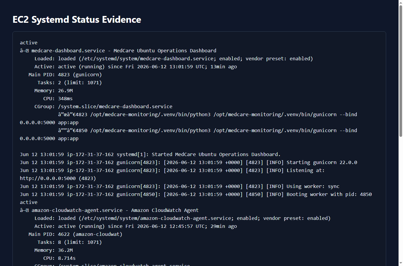 MedCare EC2 systemd status